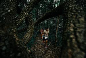 BIB: 
                            <button type="button" onclick="openModal(25692046)" class="btn btn-primary btn-sm float-right btn-popup" data-toggle="modal" data-target=".modal-high-quality">
                        <i class="fas fa-shopping-cart"></i> Add to Cart
                    </button>
                                            <button type="button" onclick="isThisMe(25692046, true)" class="btn btn-success btn-sm float-right btn-popup btn-isme hidden" data-toggle="tooltip" data-placement="bottom" title="นี่คือรูปของคุณใช่ไหม คลิกที่นี่เพื่อเอาเข้าอัลบั้ม">
                        <i class="fas fa-plus"></i> Add to album
                    </button>
                    <button type="button" onclick="isThisMe(25692046, false)" class="btn btn-warning btn-sm float-right btn-popup btn-isnotme hidden">
                        <i class="fas fa-ban"></i> Remove from album
                    </button>